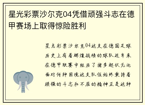 星光彩票沙尔克04凭借顽强斗志在德甲赛场上取得惊险胜利